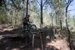 MTB-1-3.jpg