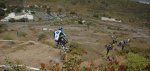 DSC_7929.JPG