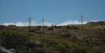 DSC_8053.JPG