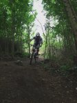 bosque3.jpg