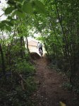 salida del bosque1.jpg