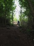 bosque 2.jpg