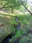 DSC00257.JPG