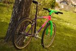 teamstorck.jpg