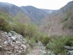 P4210038 (Copiar).JPG