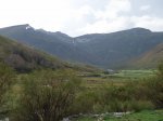 P4210017 (Copiar).JPG