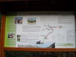 P4210051 (Copiar).JPG