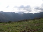 P4210024 (Copiar).JPG