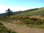 21042011035.jpg