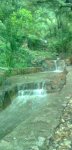Imagen0036.jpg