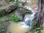 Imagen0035.jpg