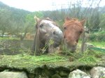 Imagen0042.jpg