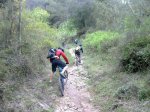 16042011685.jpg