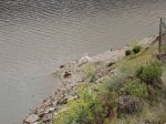 DSC00151.JPG