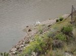 DSC00150.JPG