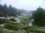 Foto67.JPG