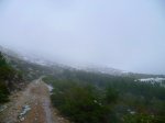 Foto68.JPG