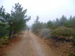 Foto54.JPG
