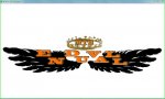 escudo-trasero.jpg