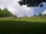 23042011610_800x600.jpg