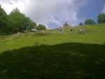 23042011614_800x600.jpg