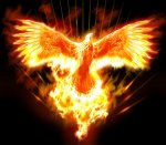 134397-ave-fenix.jpeg