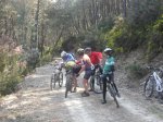 pinchazo en el pinar.jpg