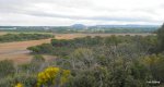 DSCN2888.JPG