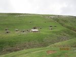 IMG_1858.JPG