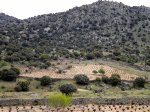 DSCN1895.JPG