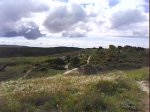 DSC00738.jpg