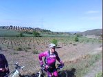 DSC00731.jpg