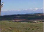 DSC00739.jpg