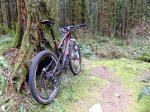 2011_0424new0004.JPG