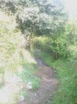 IMAG0524.jpg