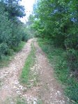 Ruta IV Marcha 006.JPG