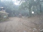 DSC00707.jpg