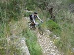 DSC00752.jpg