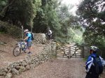 DSC00706.jpg
