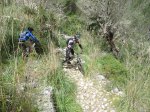 DSC00747.jpg
