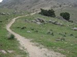 IMG_0203 [Resolucion de Escritorio].JPG