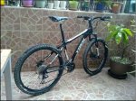 trek 4300.jpg