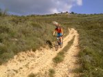 foromtb1.jpg