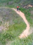 foromtb.jpg
