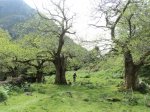 110423-Ramales-24.jpg