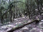 110423-Ramales-25.jpg