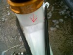 IMG00111-20110426-0842.jpg