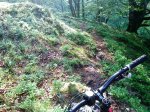 DSC01025.JPG