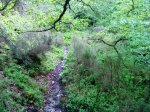 DSC01034.JPG