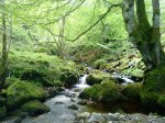 DSC01038.JPG